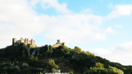 portfolio-featured-pianobidos